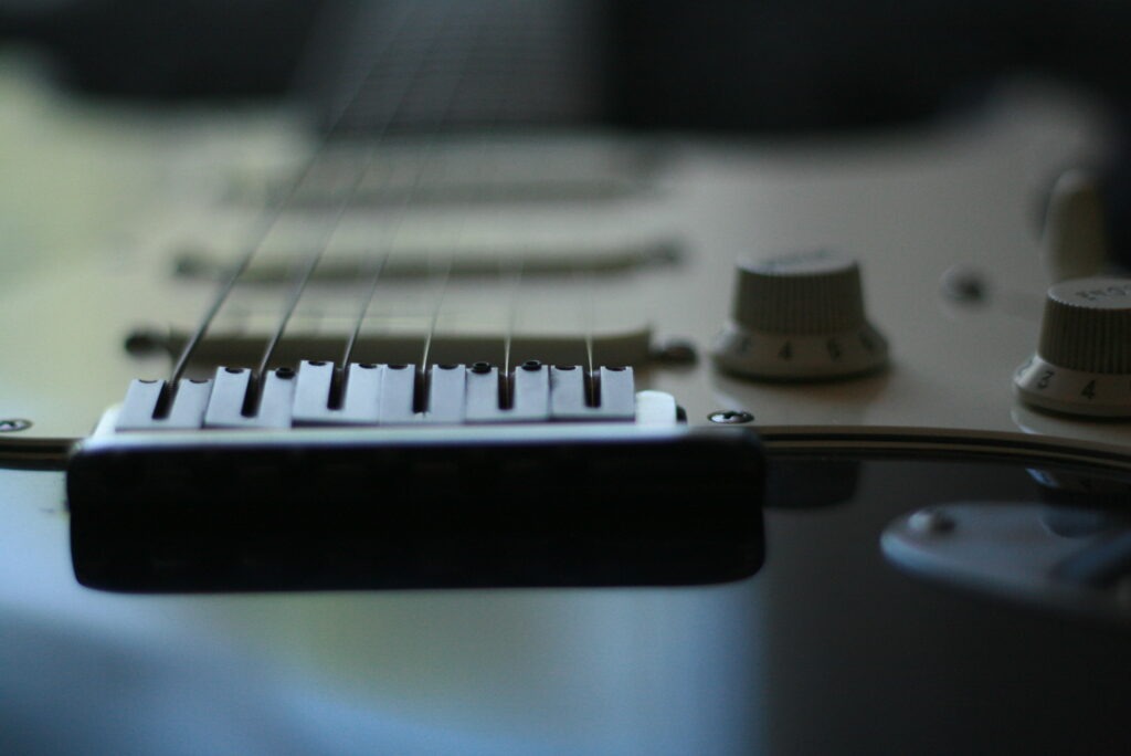 Chevalt Stratocaster Plus