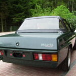 roadster cabriolet hiver